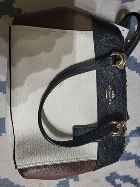 MINI BROOKE CARRYALL IN COLORBLOCK (COACH F31994)